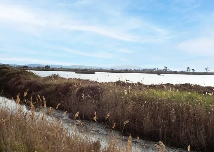 Appartement Bona By Interhome